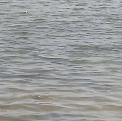 Stella Sunrise 홈스테이