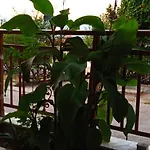 Stella Sunrise * Σταυρός