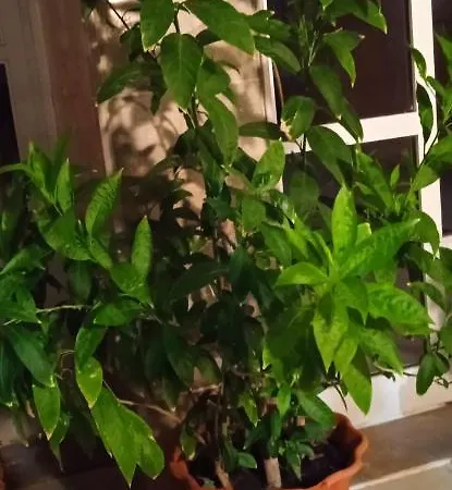 Homestay Stella Sunrise Stavros (Thessaloniki)