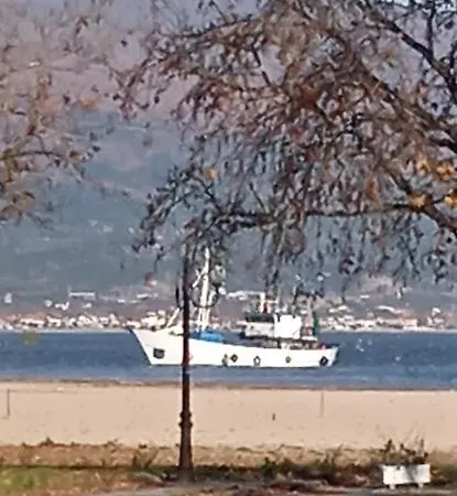 Stella Sunrise Проживание в семье