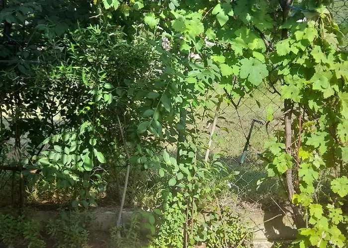 Séjour chez l'habitant Stella Sunrise *