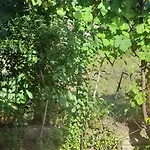 Privat bolig Stella Sunrise *