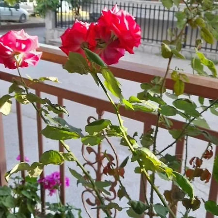 Habitación en casa particular Stella Sunrise