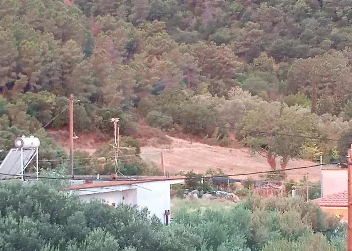 Stella Sunrise * Σταυρός