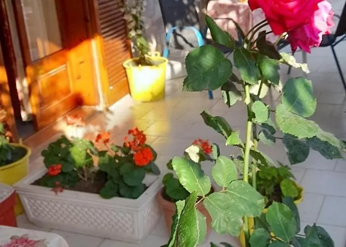 Δωμάτια σε οικογενειακή κατοικία Stella Sunrise