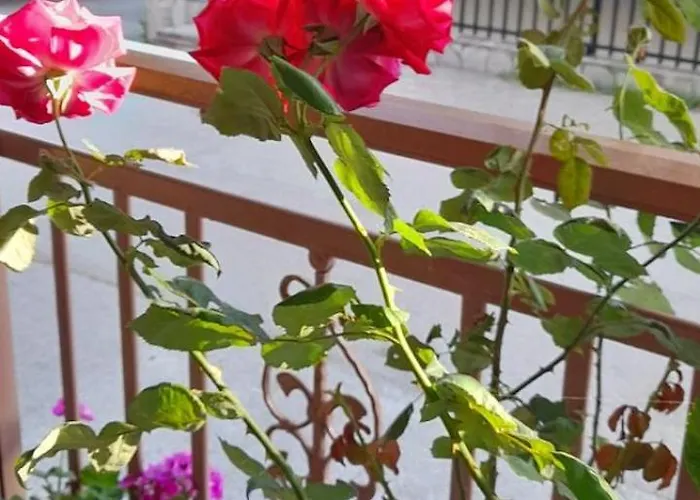 Δωμάτια σε οικογενειακή κατοικία Stella Sunrise